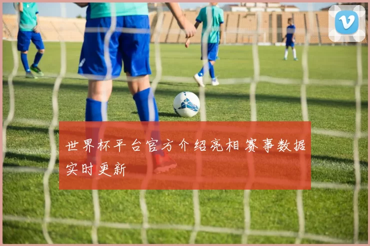 世界杯平台官方介绍亮相 赛事数据实时更新