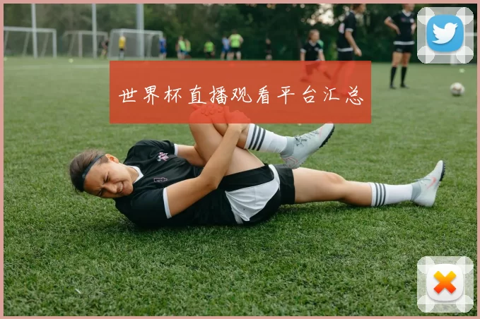 世界杯直播观看平台汇总