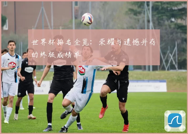 世界杯排名全览:荣耀与遗憾并存的终极成绩单