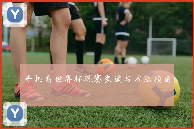 手机看世界杯观赛渠道与方法指南