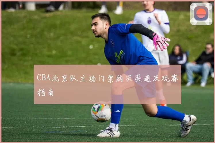CBA北京队主场门票购买渠道及观赛指南