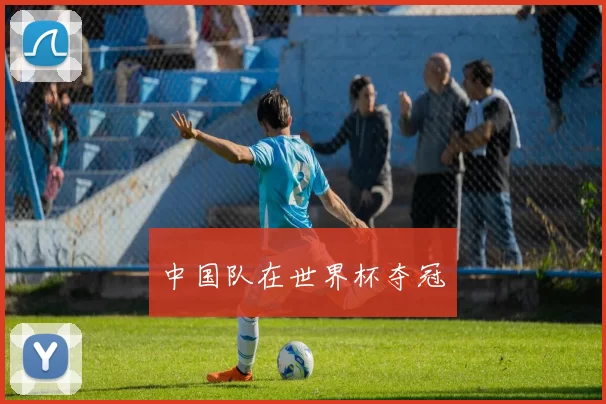 中国队在世界杯夺冠