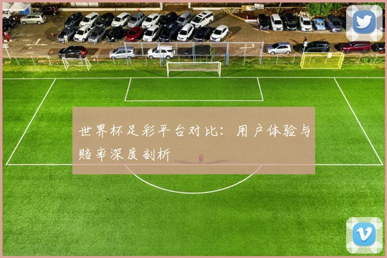 世界杯足彩平台对比：用户体验与赔率深度剖析