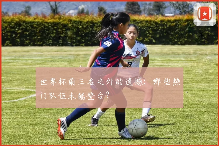 世界杯前三名之外的遗憾：哪些热门队伍未能登台？