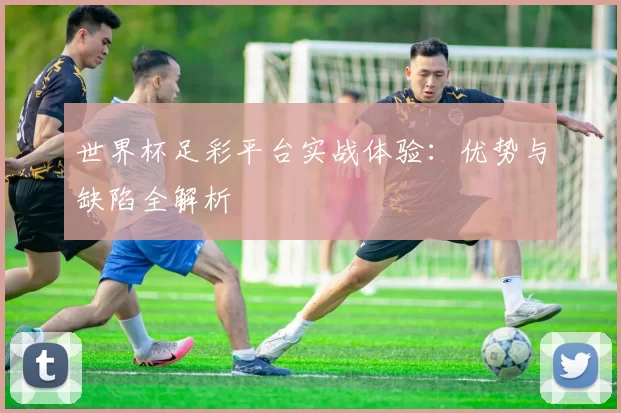 世界杯足彩平台实战体验:优势与缺陷全解析