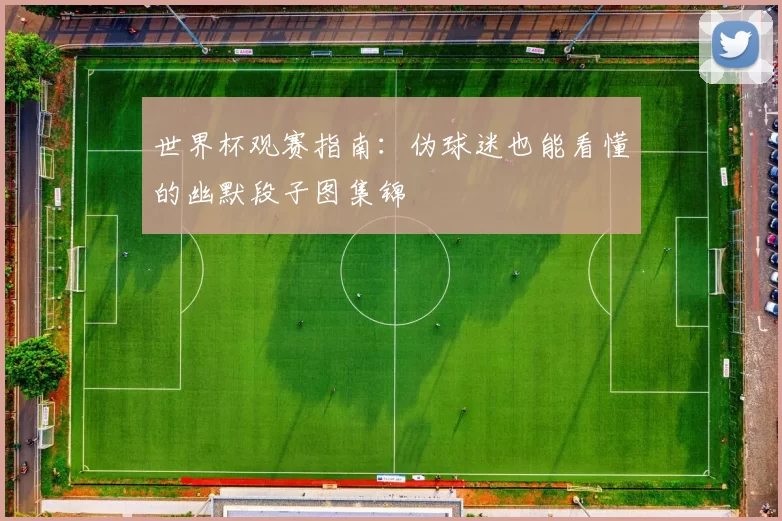 世界杯观赛指南：伪球迷也能看懂的幽默段子图集锦