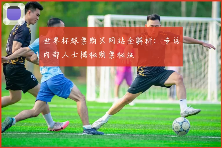 世界杯球票购买网站全解析：专访内部人士揭秘购票秘诀