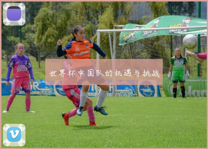 世界杯中国队的机遇与挑战