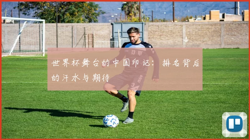 世界杯舞台的中国印记：排名背后的汗水与期待