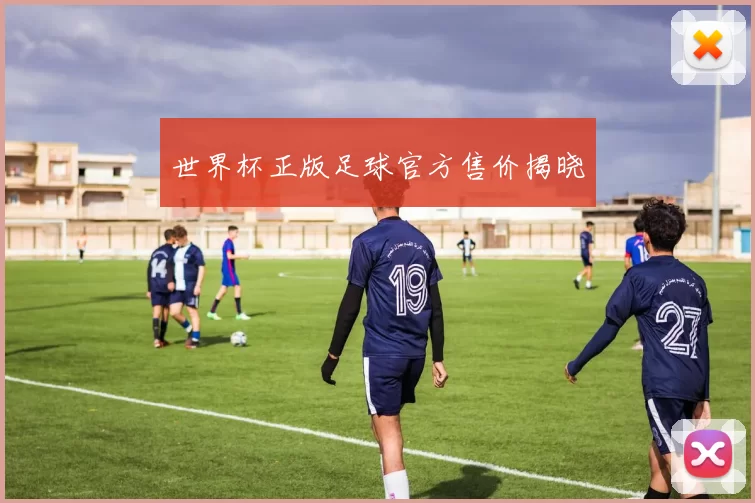 世界杯正版足球官方售价揭晓